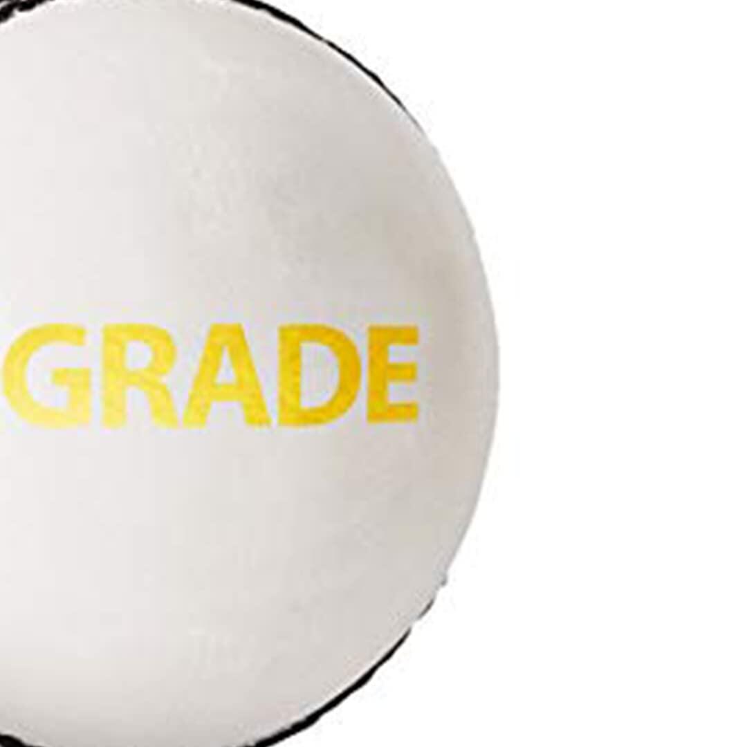 DSC Grade Leather Cricket Ball (White)| Water Proofed Leather | Top Quality Cork 3/5