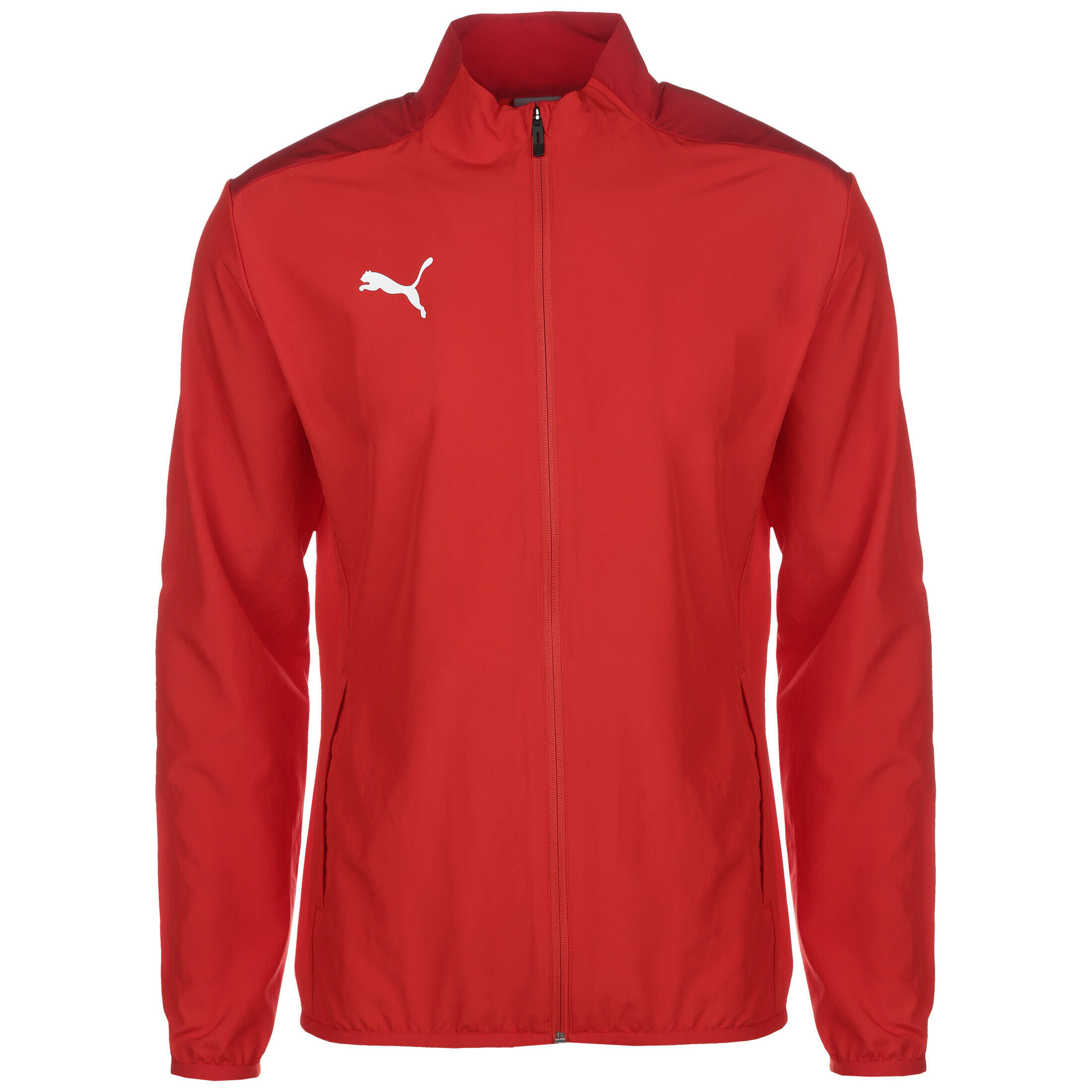 Veste de stade TeamGOAL 23 Sideline hommes PUMA 1/2