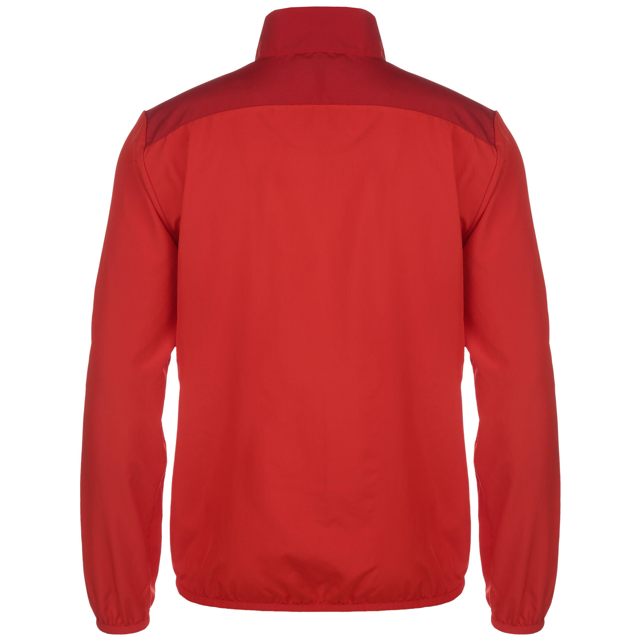 Veste de stade TeamGOAL 23 Sideline hommes PUMA 2/2