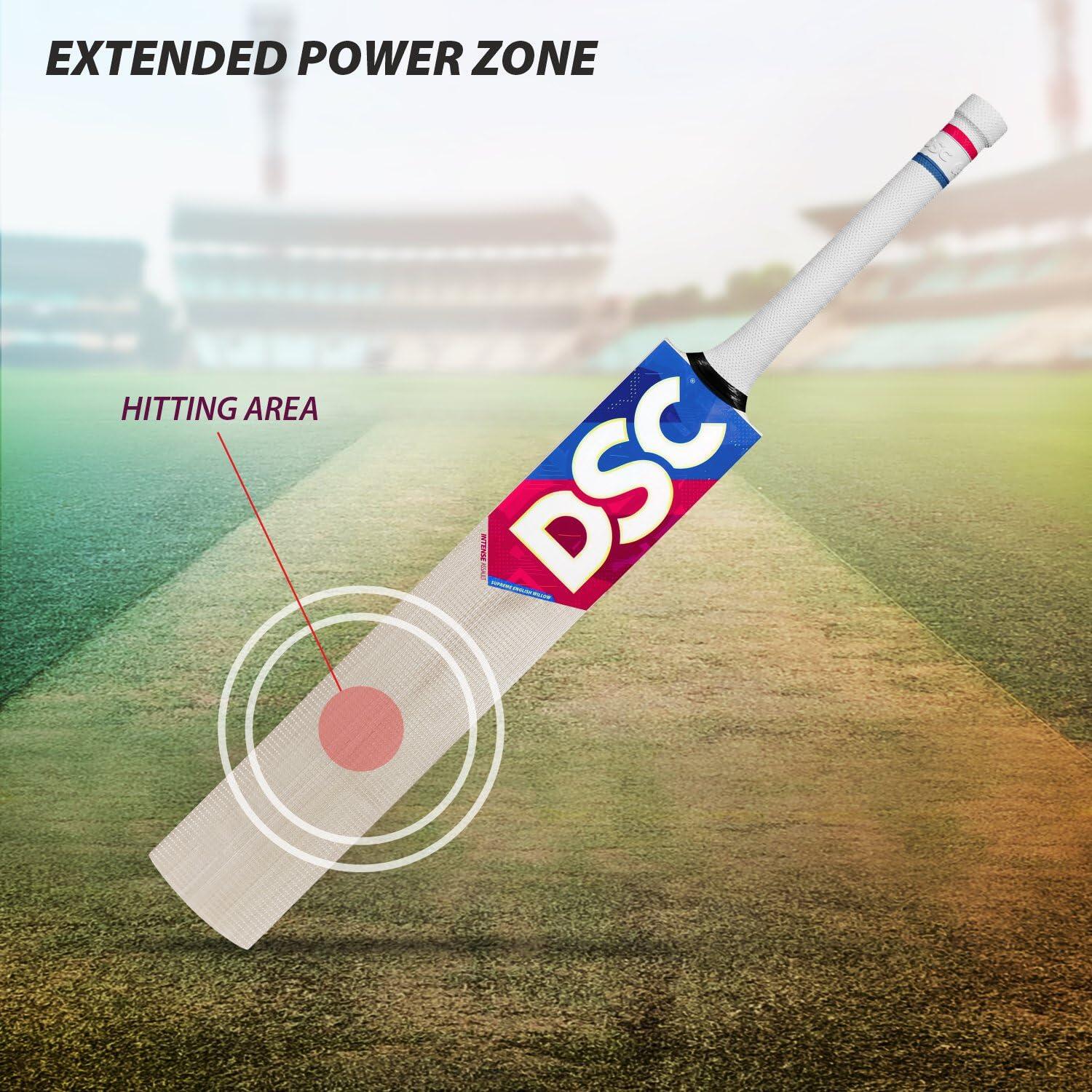 Mazza Da Cricket DSC Roar Terra - Legno Kashmir Willow, Per Palle In Pelle - Foto 6