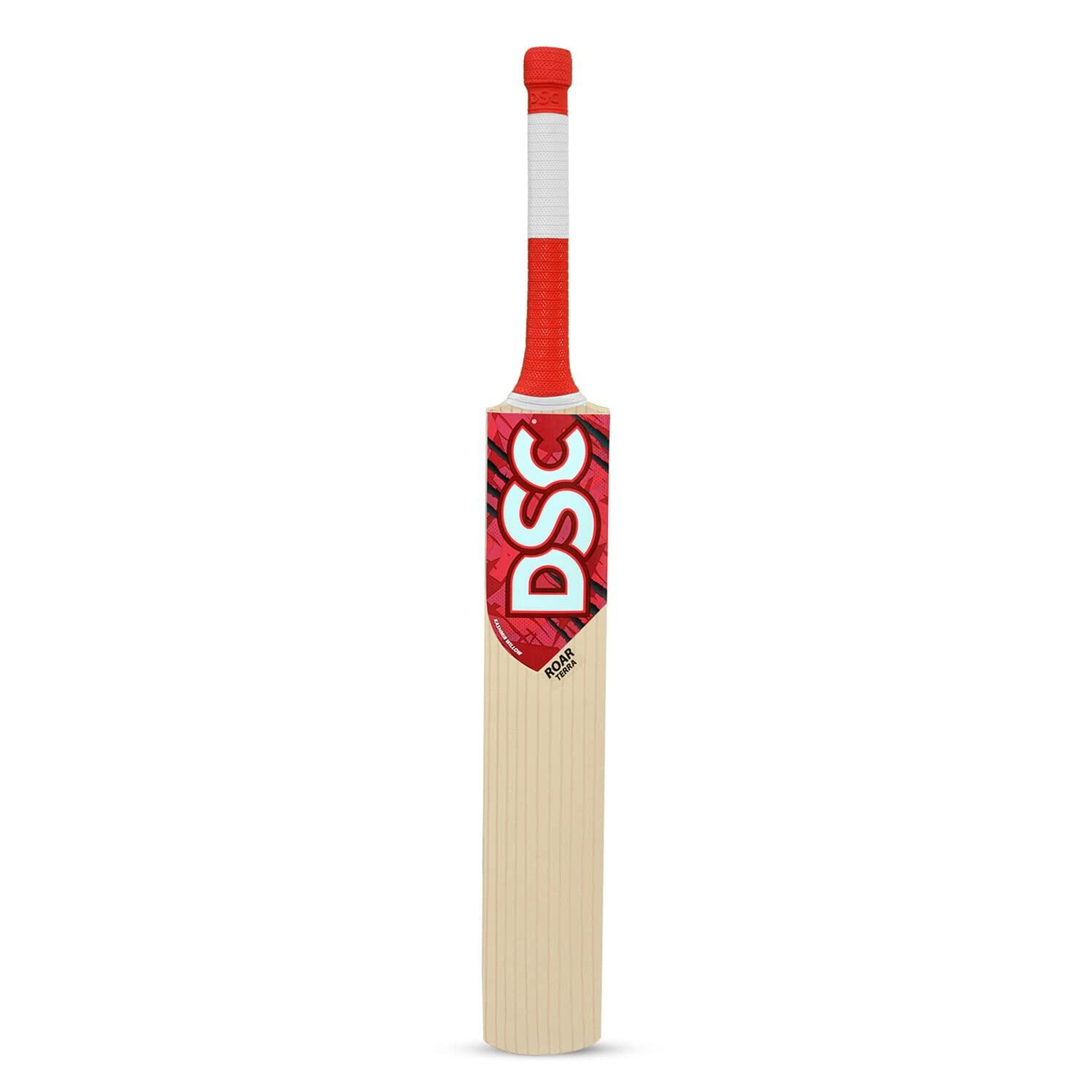 DSC Roar Terra Kashmir Willow Cricket Bat 2/5