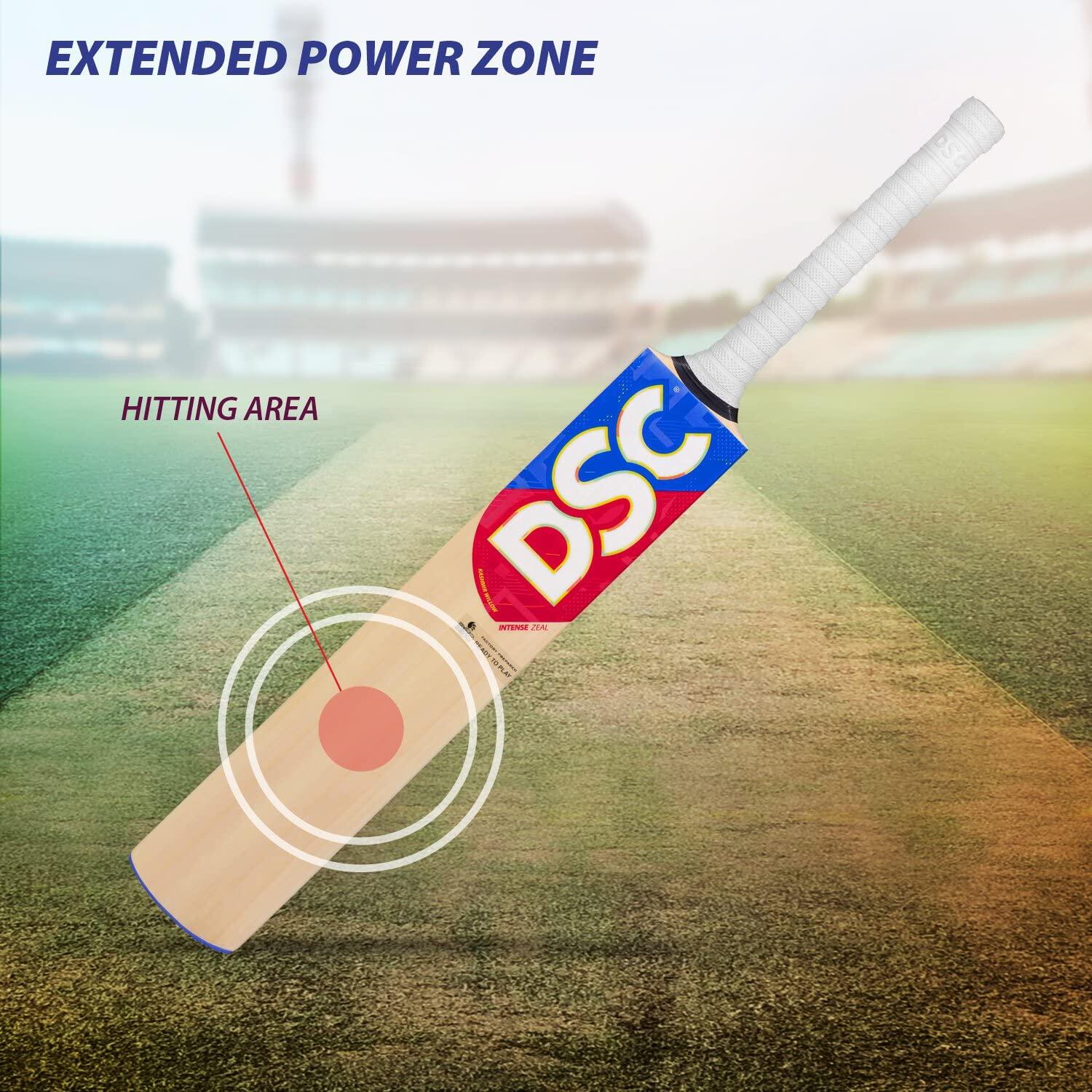 DSC Intense Zeal Kashmir Willow Cricket Bat 2/6