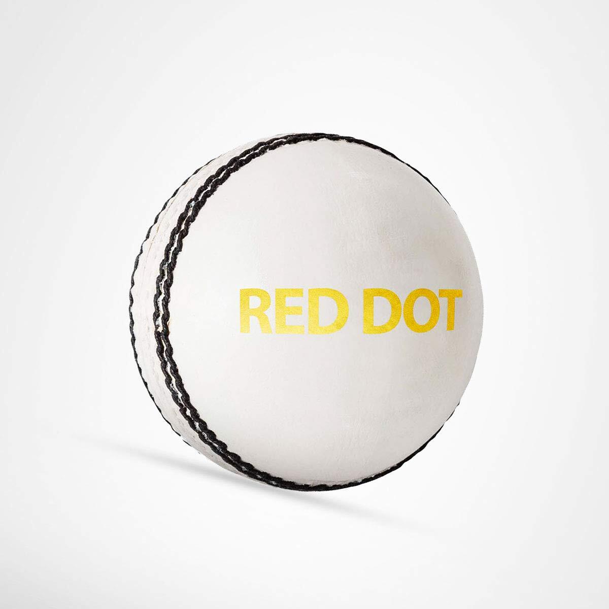 DSC Red Dot Leather Cricket Ball 1/5