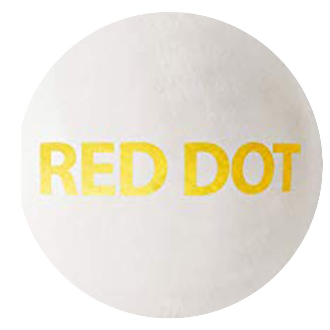 DSC Red Dot Leather Cricket Ball 5/5