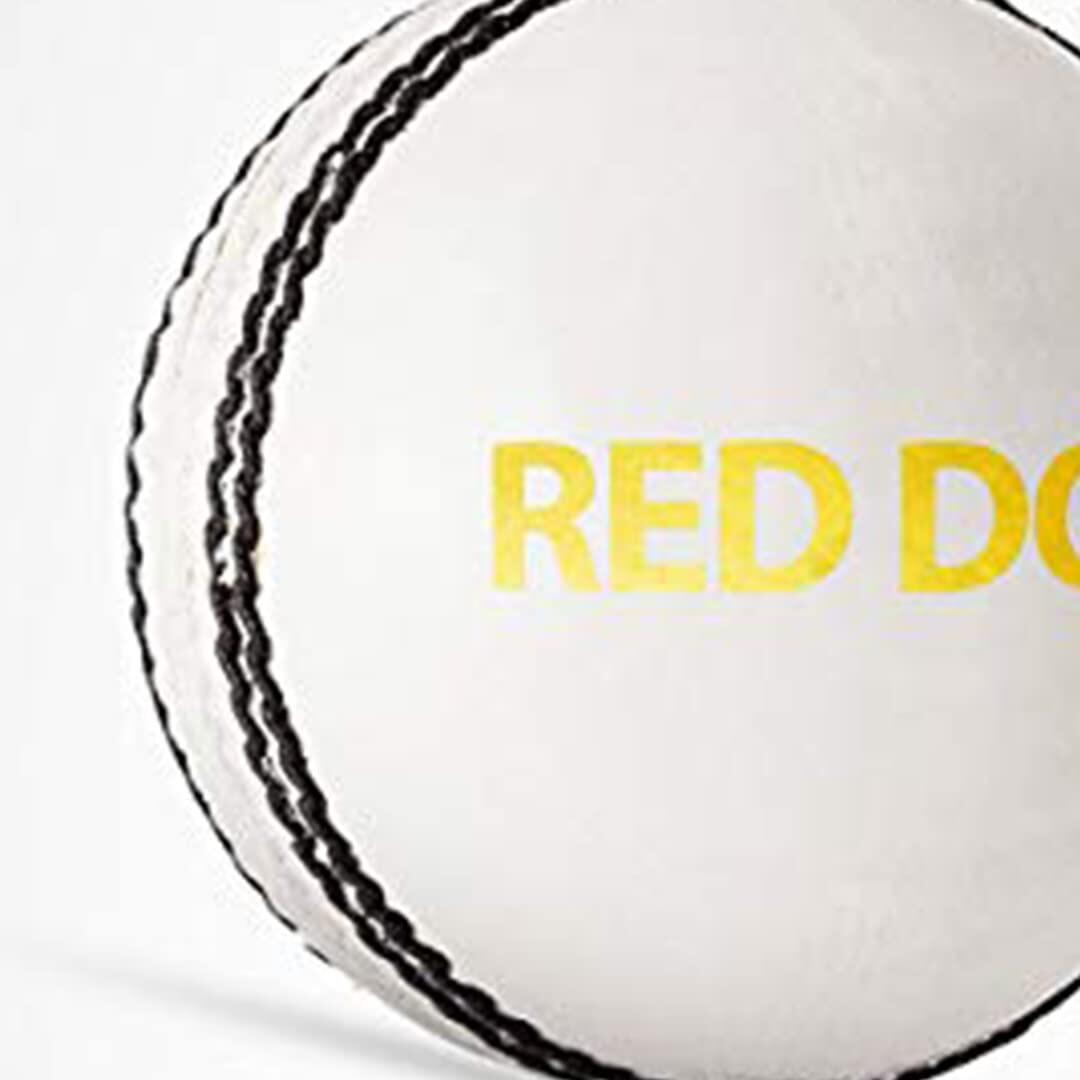 DSC Red Dot Leder Cricket Ball (Weiß)| Wasserdichtes Leder Ball 4/5