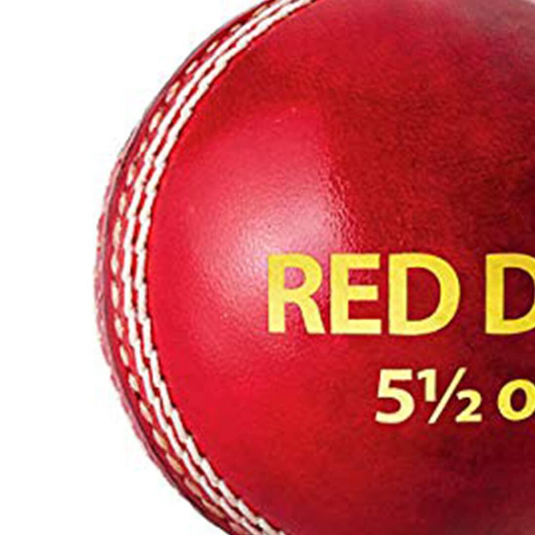 DSC Red Dot Leather Cricket Ball 4/5