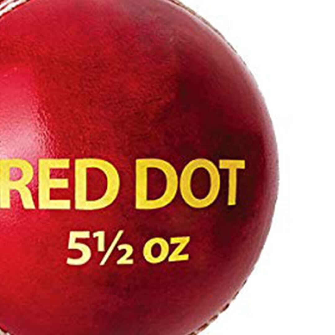DSC Red Dot Leather Cricket Ball 3/5