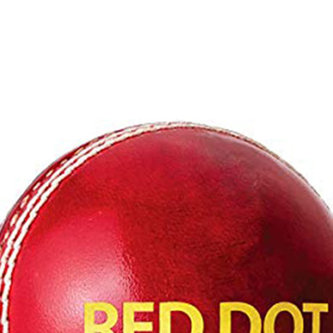 DSC Red Dot Leather Cricket Ball 5/5