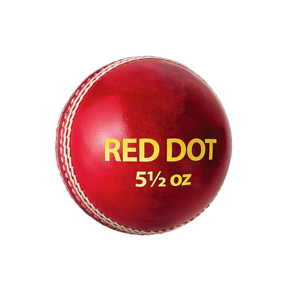 DSC Red Dot Leather Cricket Ball 1/5