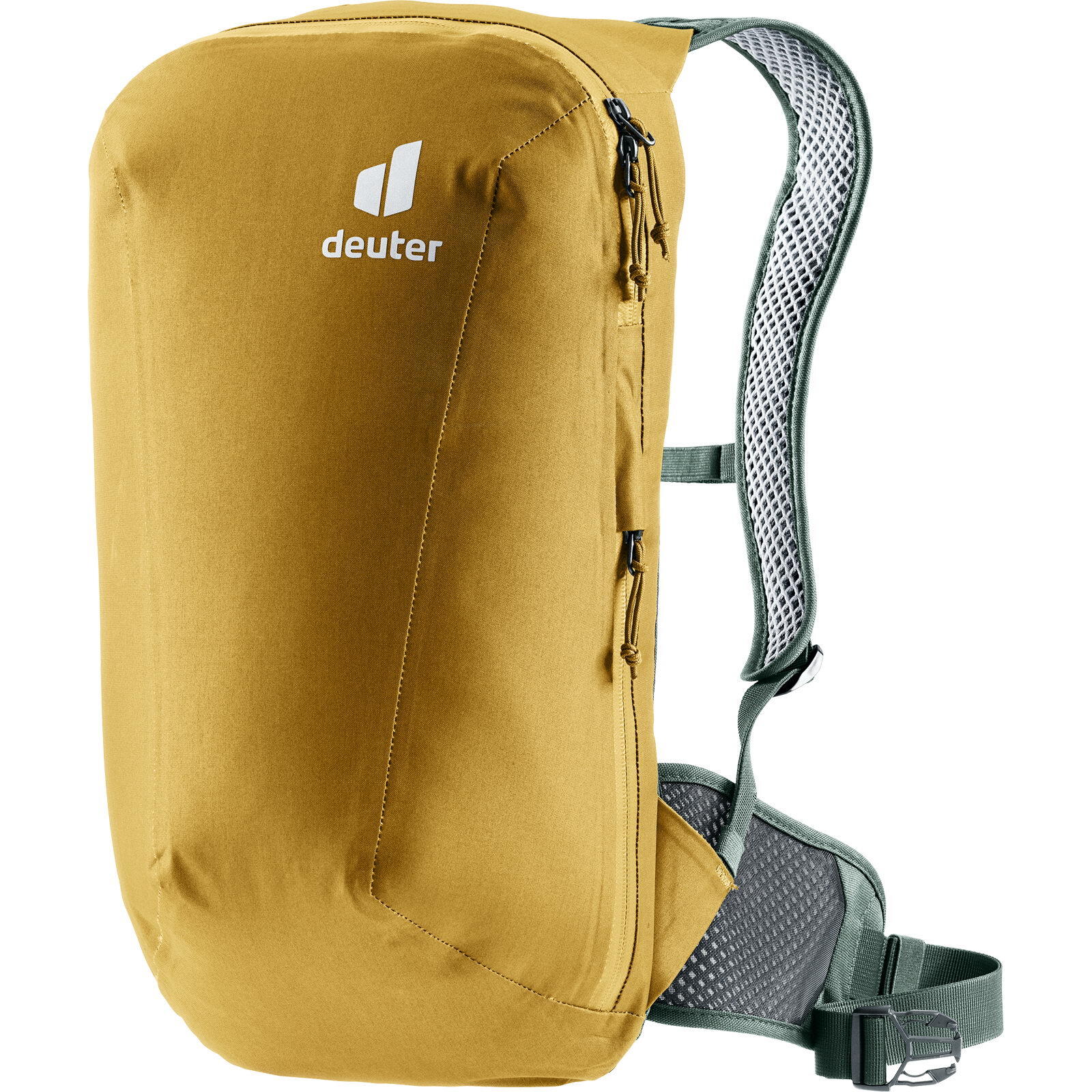Plamort 12 - curcuma-edera 7/7