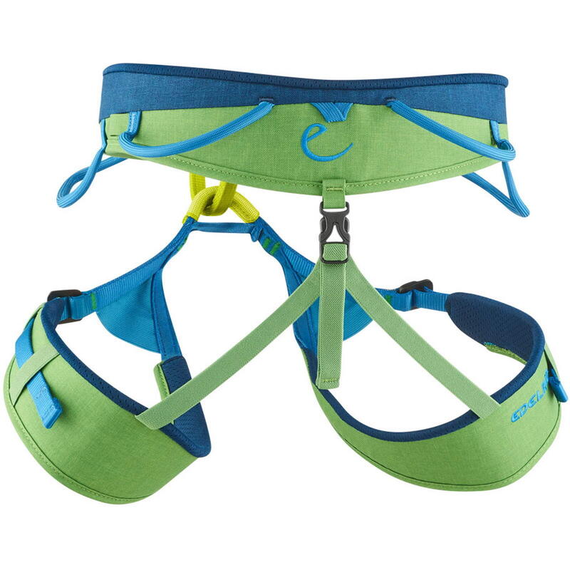 Herren-Klettergurt Jay III wasabi