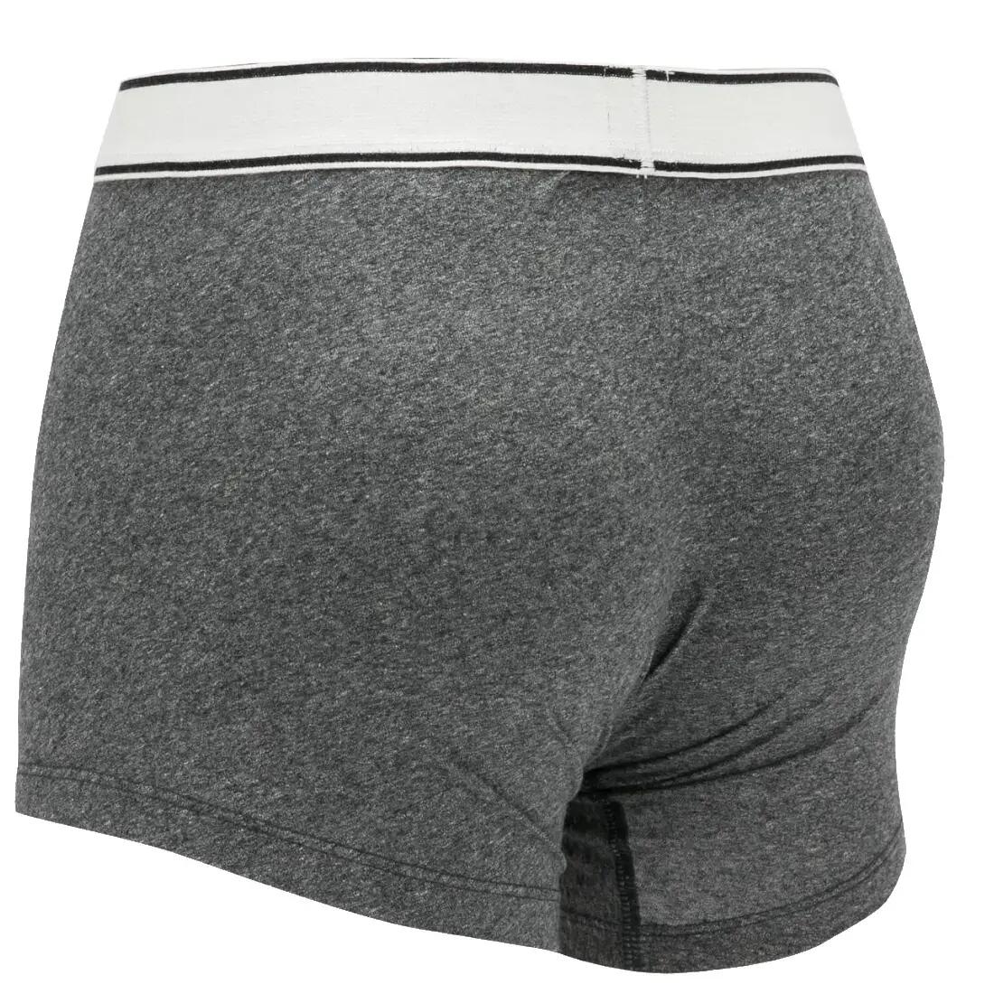 Férfi boxeralsó, Levi's Boxer 2 Pairs Briefs, szürke 4/4