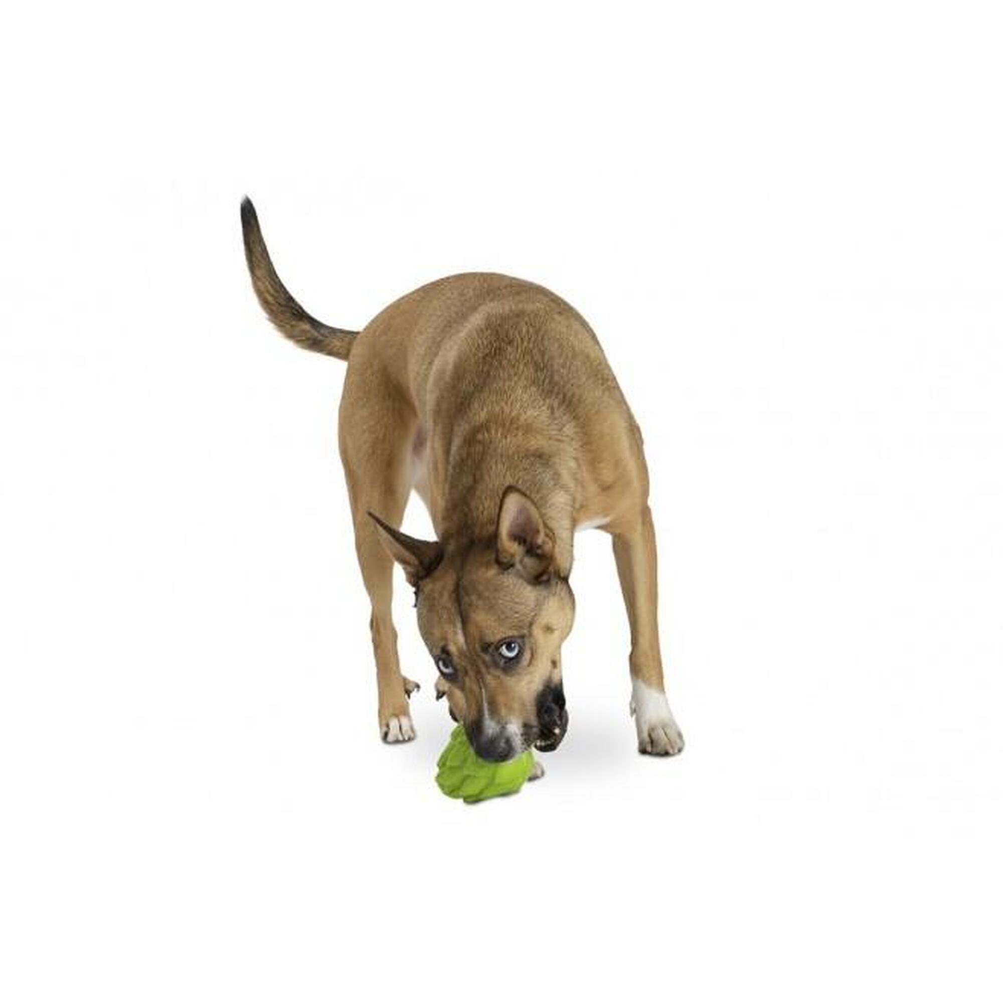 Planet Dog Orbee-Tuff Sport Golf Ball, jouet pour chien