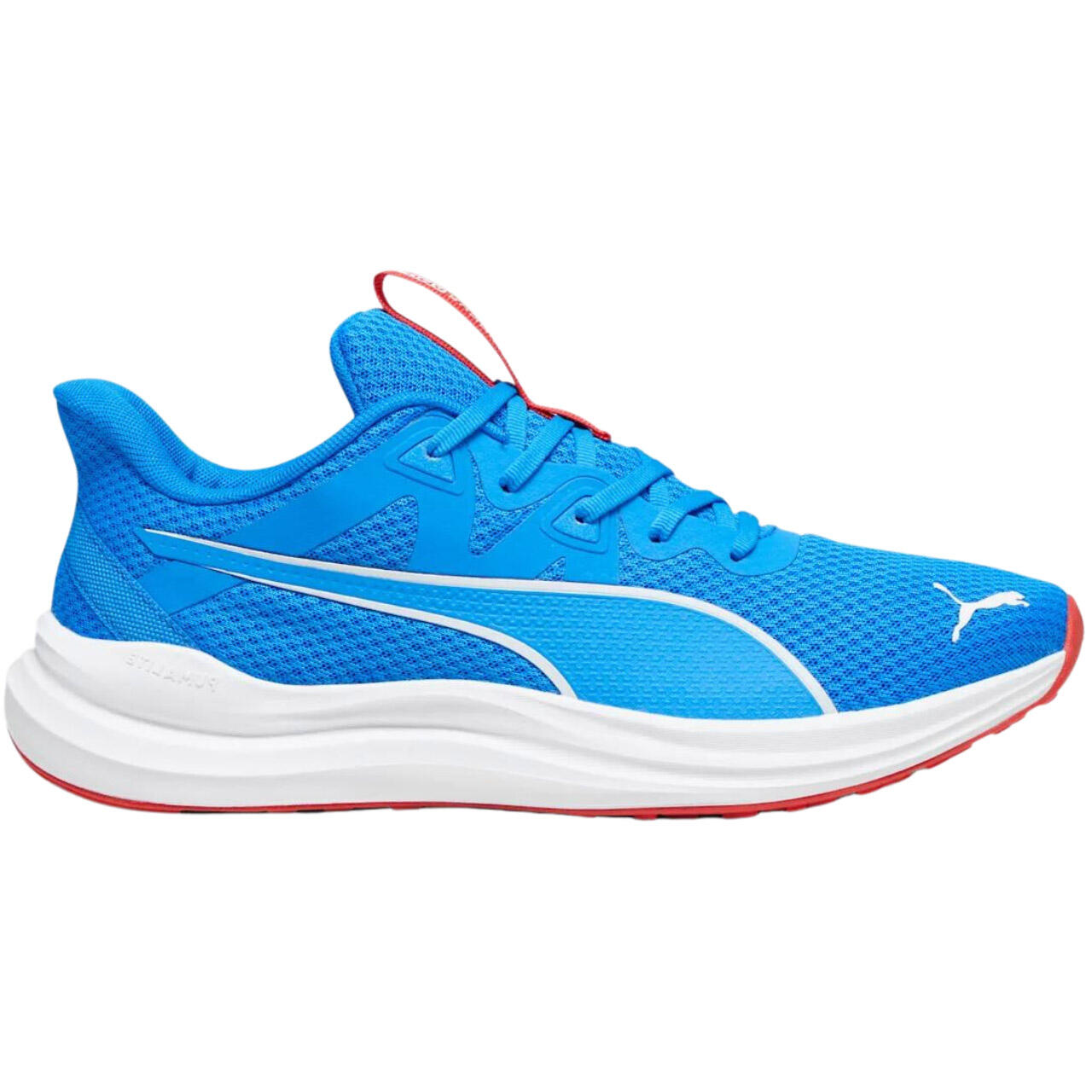 PUMA picture