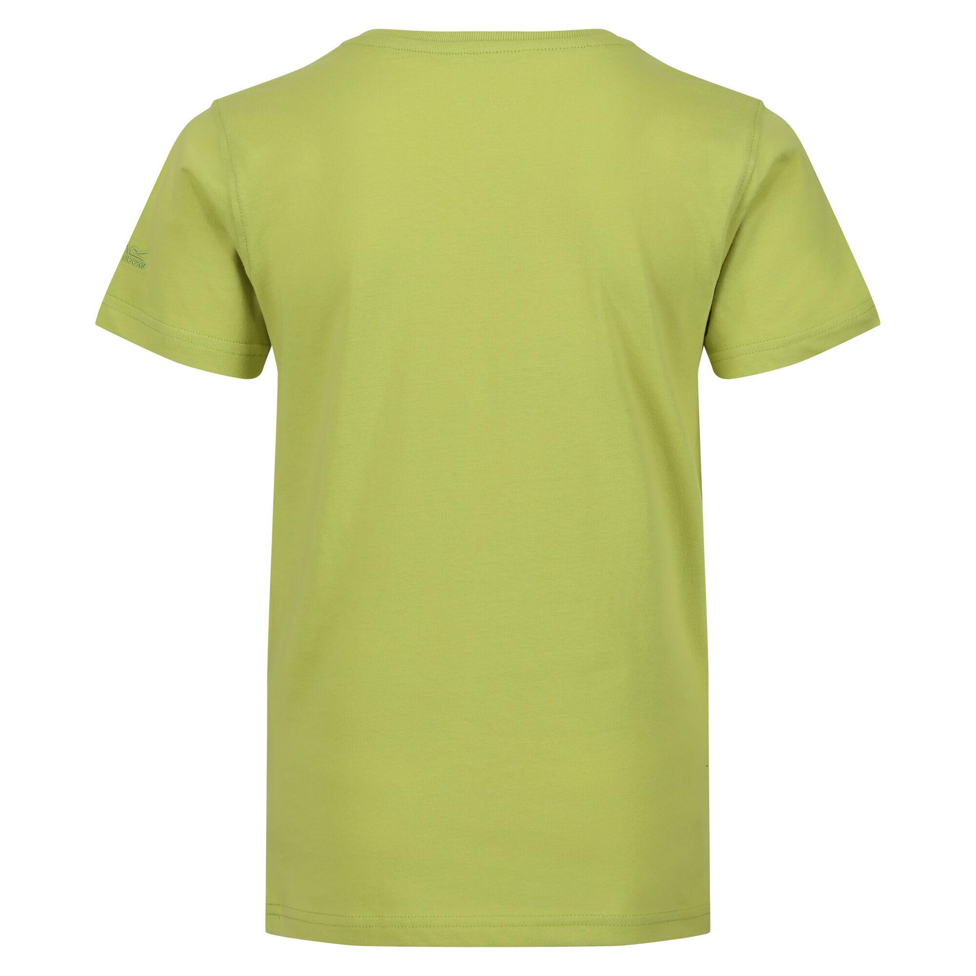 Tshirt BOSLEY Child (Seaweed green)