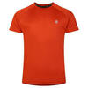 Tshirt ACCELERATE Homme (Thé rooibos)