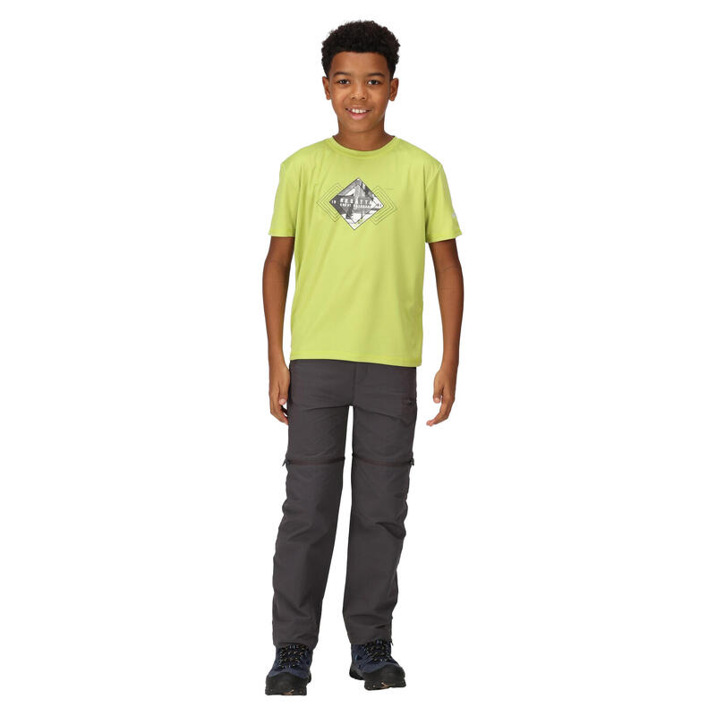 Kinderen/Kinderen Alvarado VII Gevestigd TShirt (Groene algen)