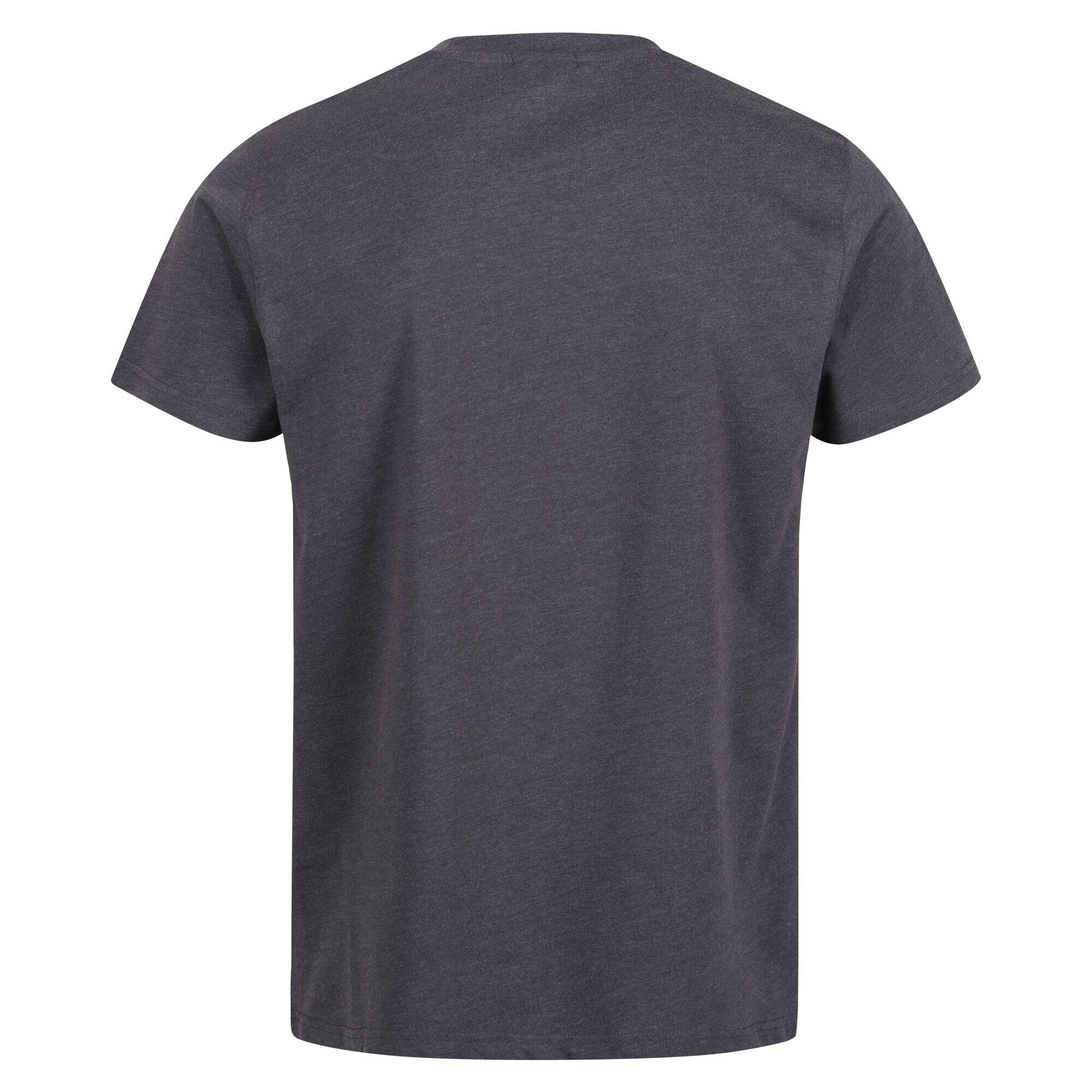 Mens Pro Cotton Soft Touch TShirt (Seal Grey) 2/5