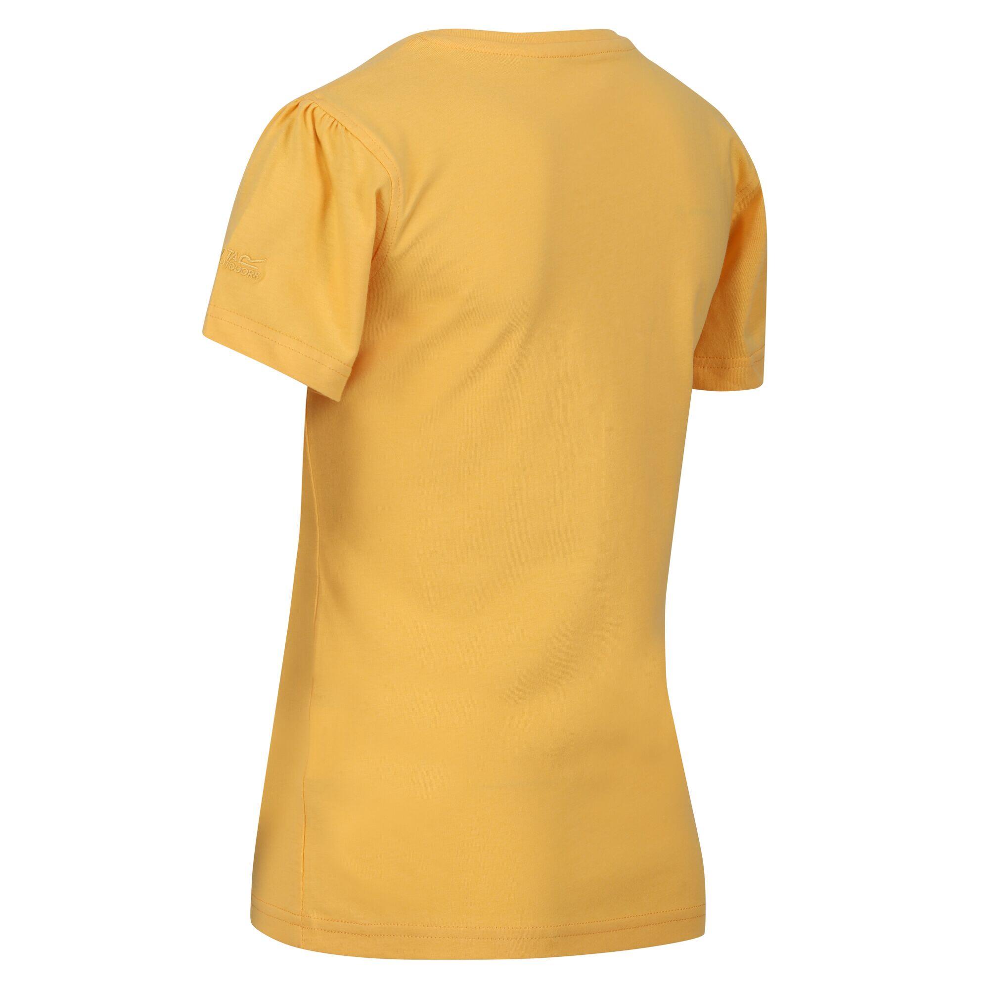 Childrens/Kids Bosley VI Sunset TShirt (Amber Yellow) 4/5