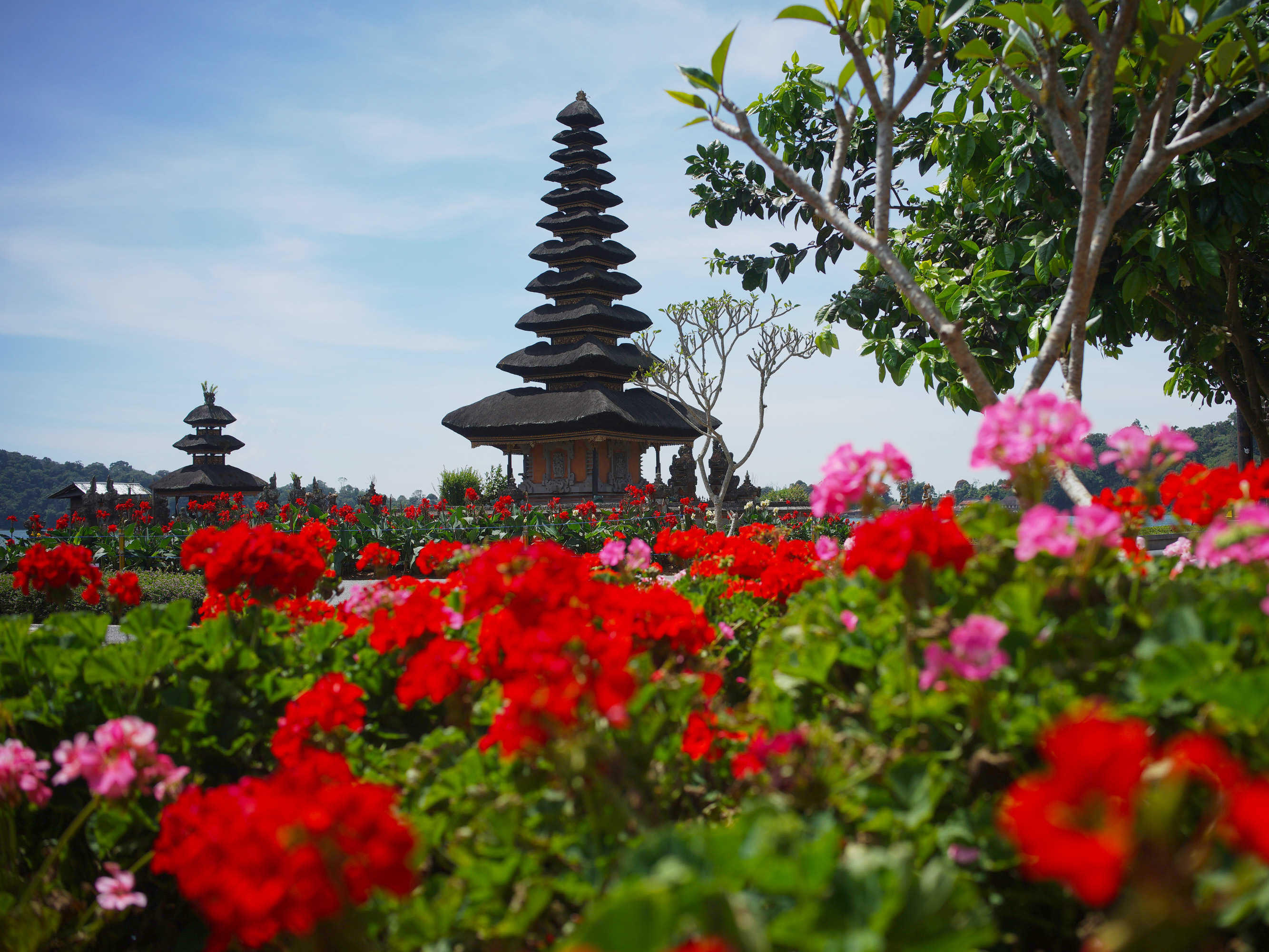 Bali ontdekken 1/1