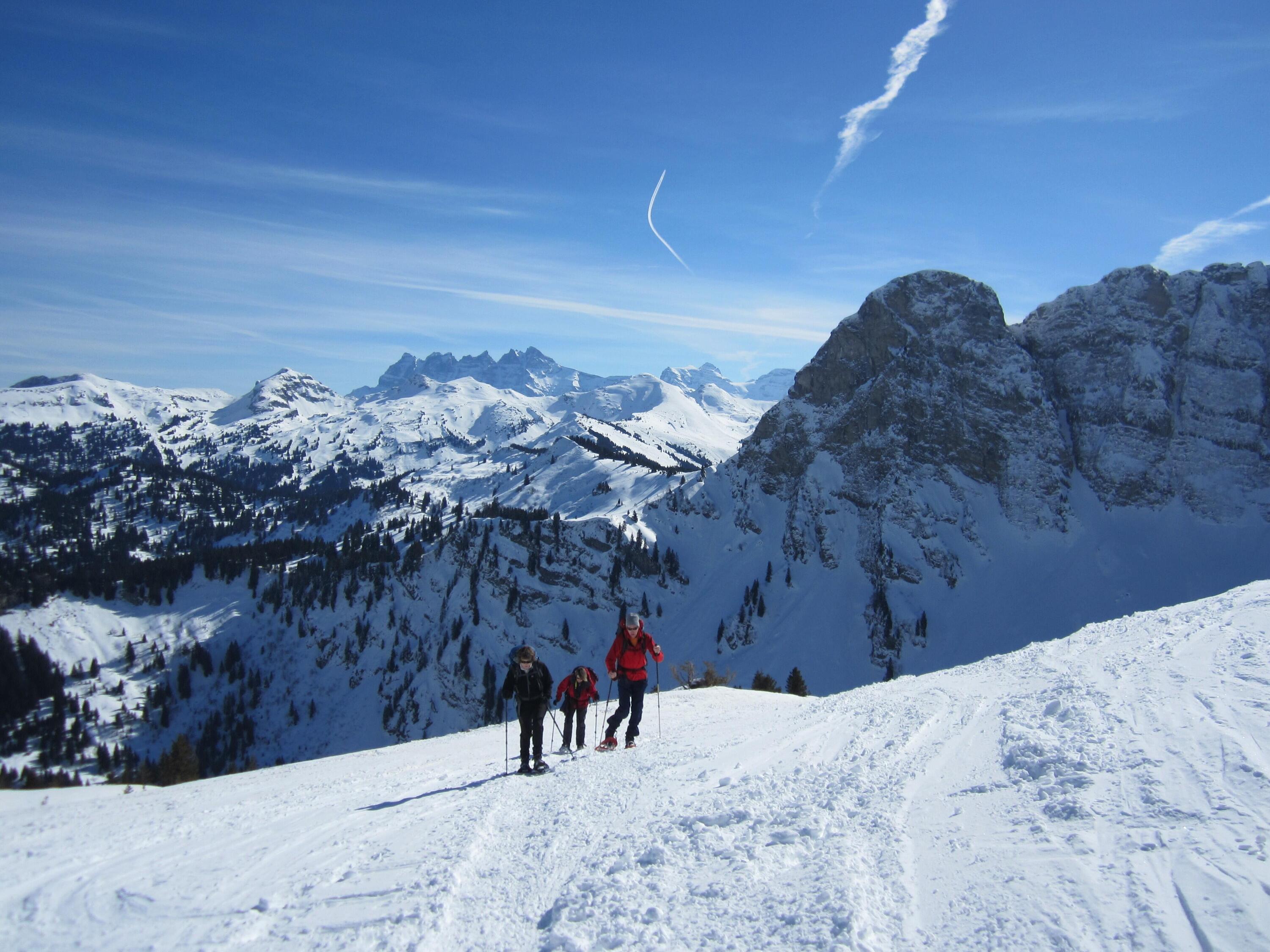 DECATHLON TRAVEL picture