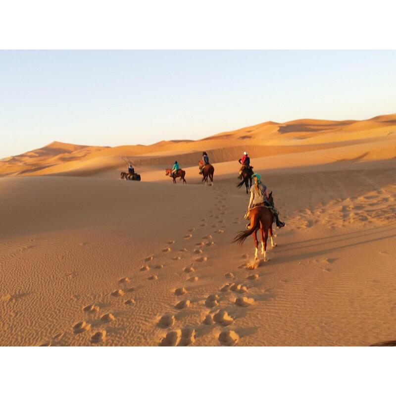 Paardrijden in de Sahara