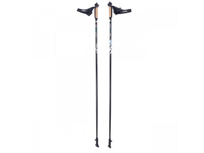 Nordic Walking Stab HAWK Carbon