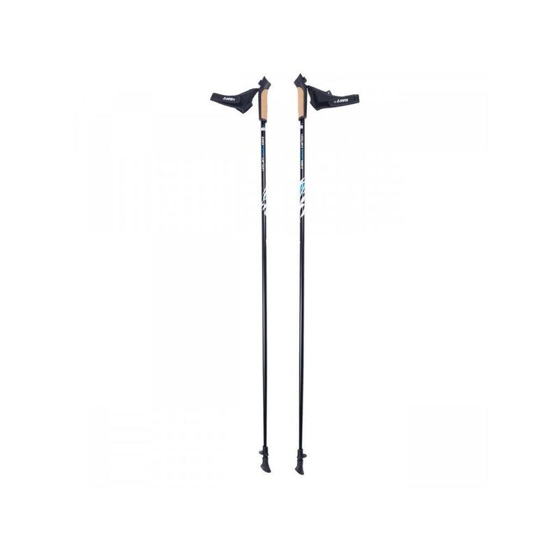 2 NORDIC WALKING HOLE HAWK CARBON