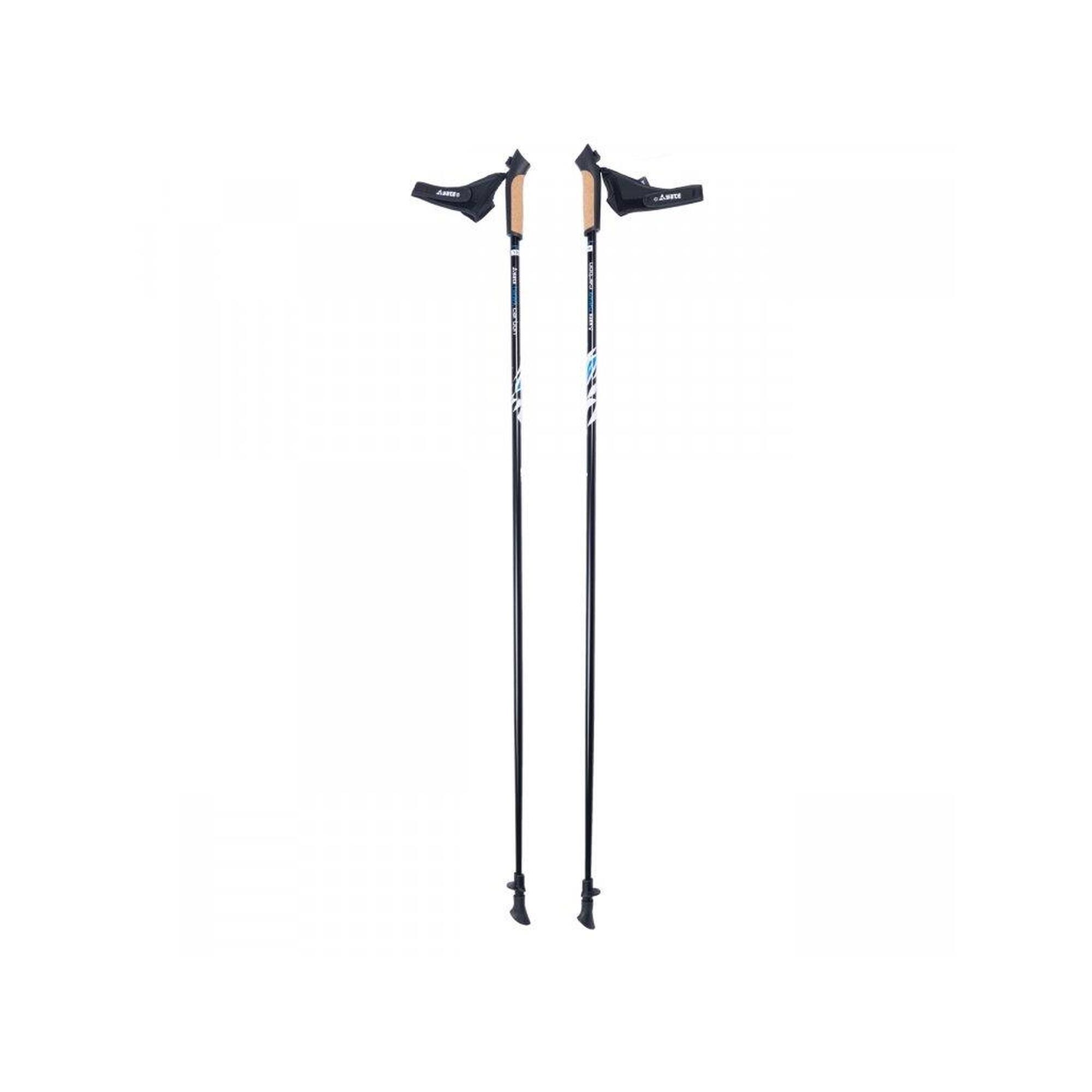 YATE NORDIC WALKING HOLE HAWK CARBON