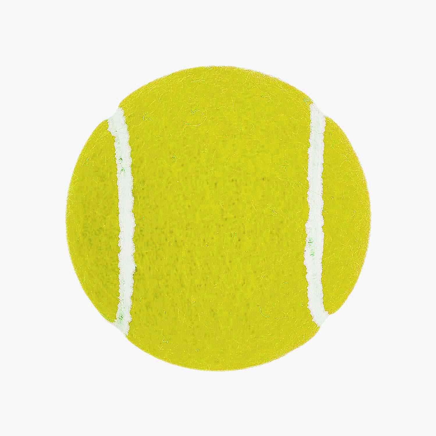 Heavy Tennis-Cricketball (2er-Pack) - Nitro Gummi für Anfänger 3/3