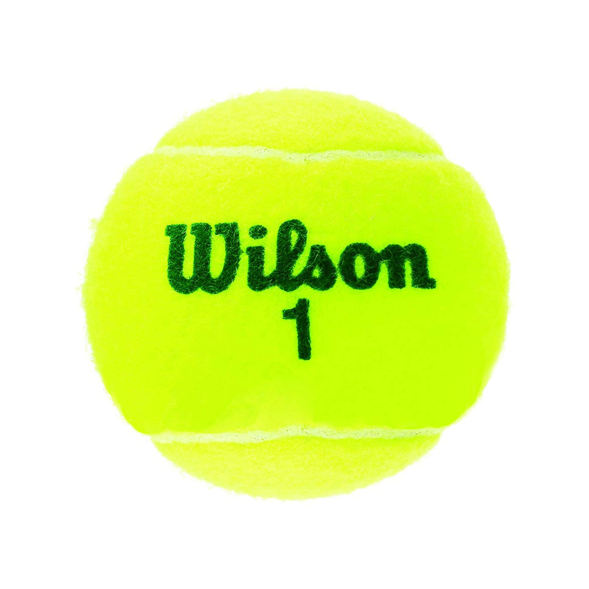 Championship Tennis Balls (Pack of 4) (Yellow) 4/4