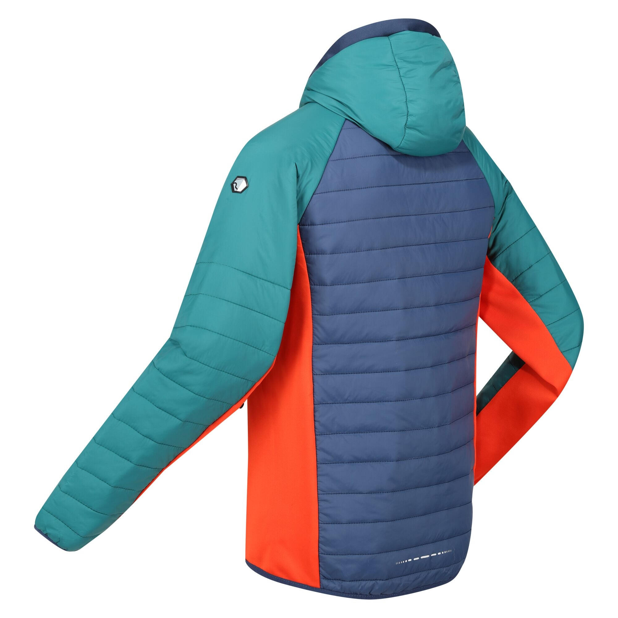 Mens Trutton Hooded Soft Shell Jacket (Admiral Blue/Pacific Green) 4/5