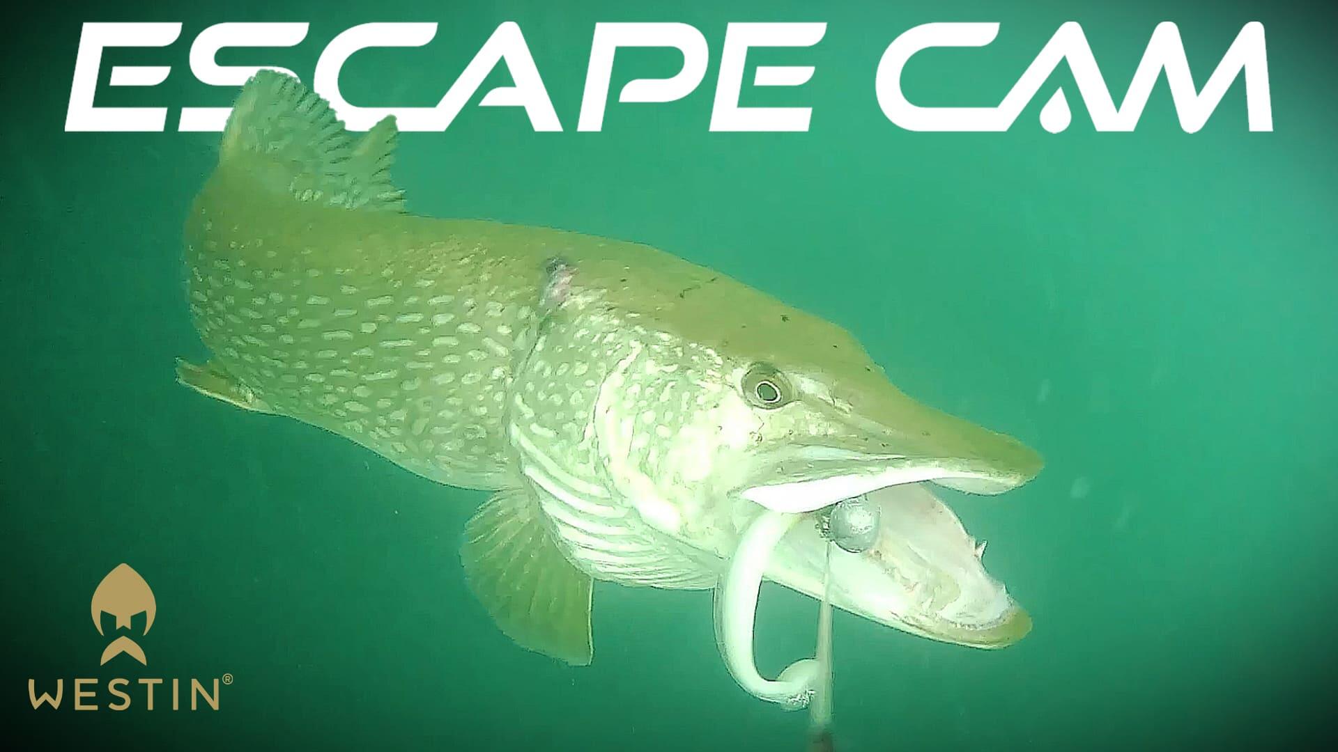 Westin Escapecam - Karper Fishfinder 3/7