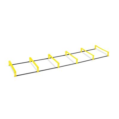 Sklz elevation ladder