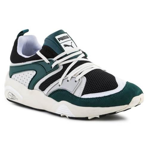 Puma - Chaussures Universel Hommes Puma Blaze Of Glory Prm M - Chaussures De Sport - Vert - 47 - Decathlon