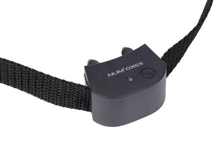 COLLIER SEUL ANTI-FUGUE POUR CHIENS NUM'AXES CANIFUGUE SMALL