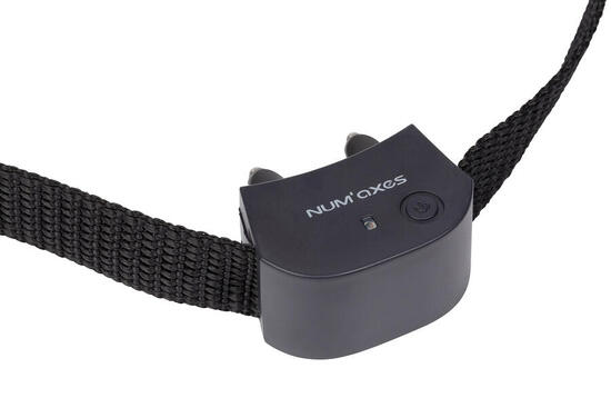 COLLIER SEUL ANTI-FUGUE POUR CHIENS NUM'AXES CANIFUGUE SMALL