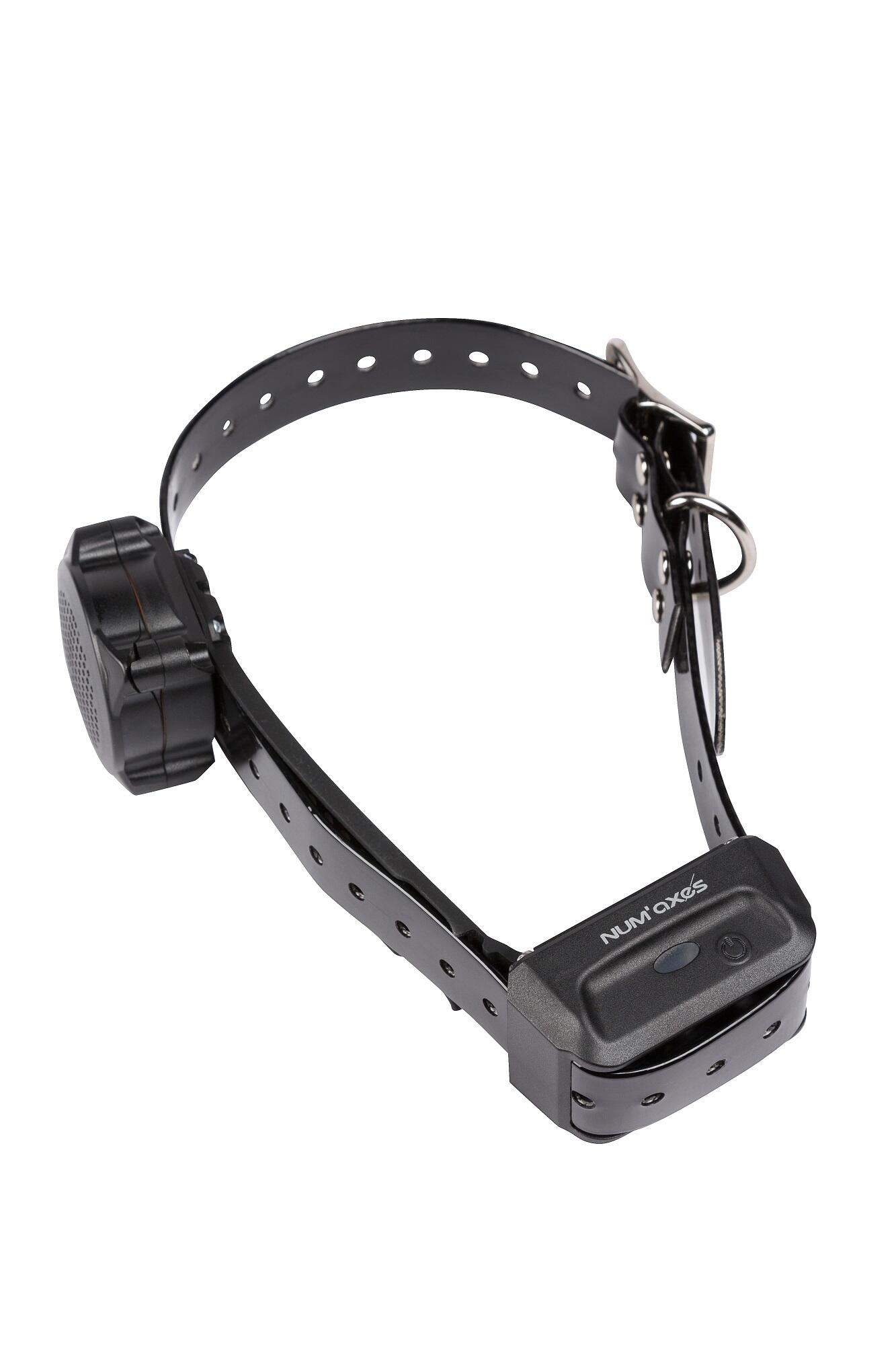 Conjunto de treinamento de cães num'axes canicom voice 800