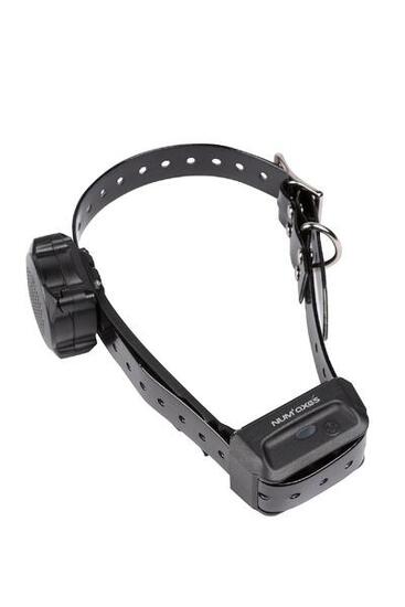 ENSEMBLE DE DRESSAGE POUR CHIEN NUM'AXES CANICOM VOICE 800