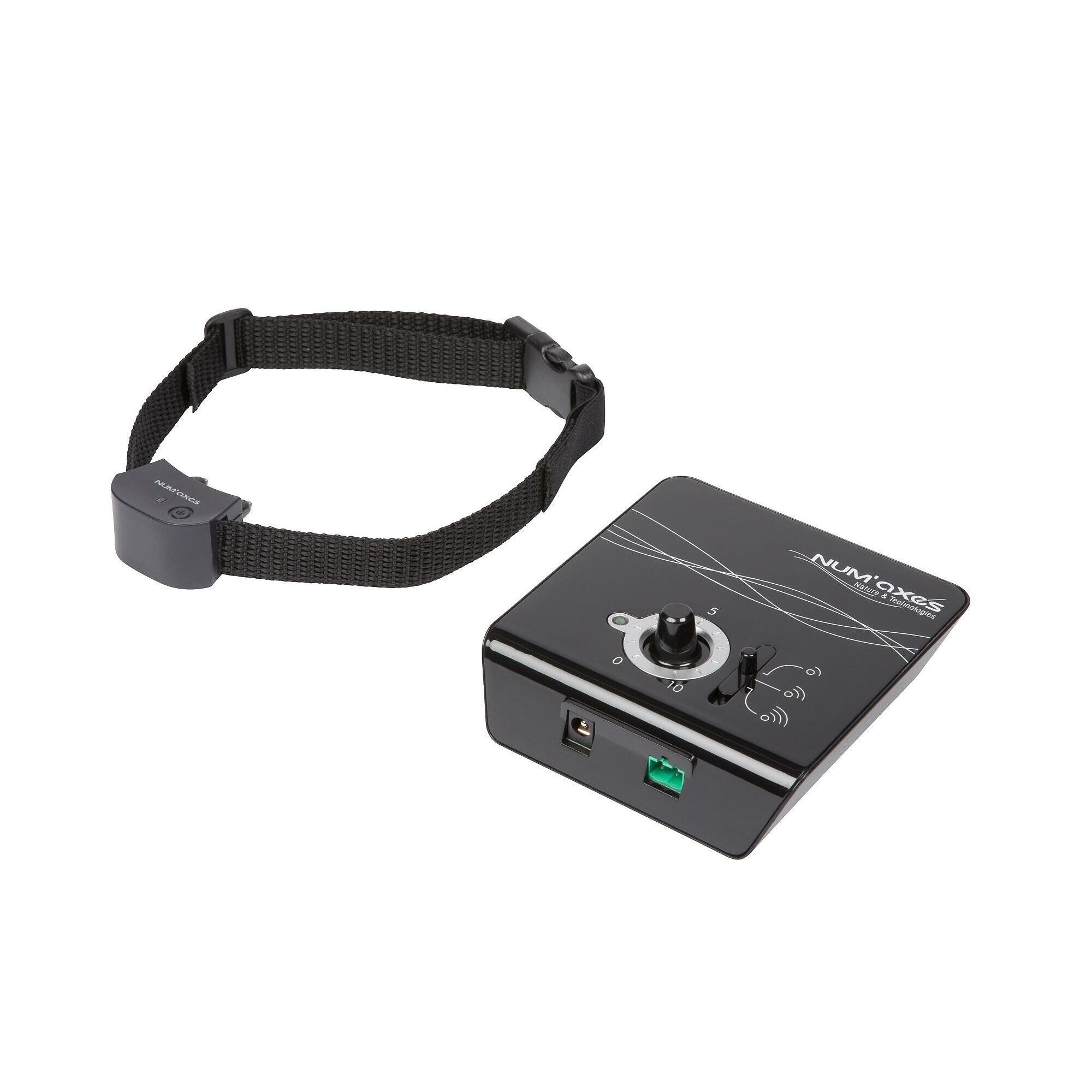 Num'axes - Set Complet Anti-fugue Pour Chiens Num'axes Canifugue Small - Collier Anti-fugue - Noir - Decathlon