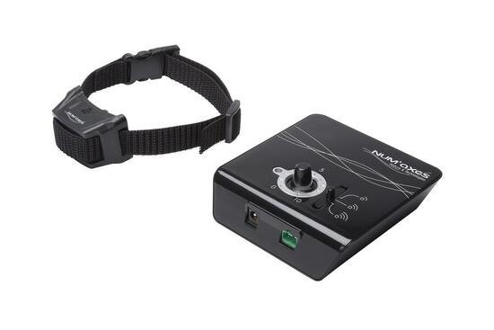 SET COMPLET ANTI-FUGUE POUR CHIENS NUM'AXES CANIFUGUE FUG1032