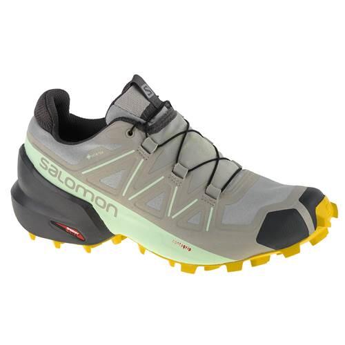Buty do biegania damskie Salomon Speedcross 5 Gtx W