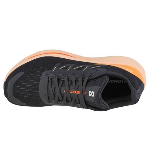 Chaussures running femmes Salomon Spectur W 3/4