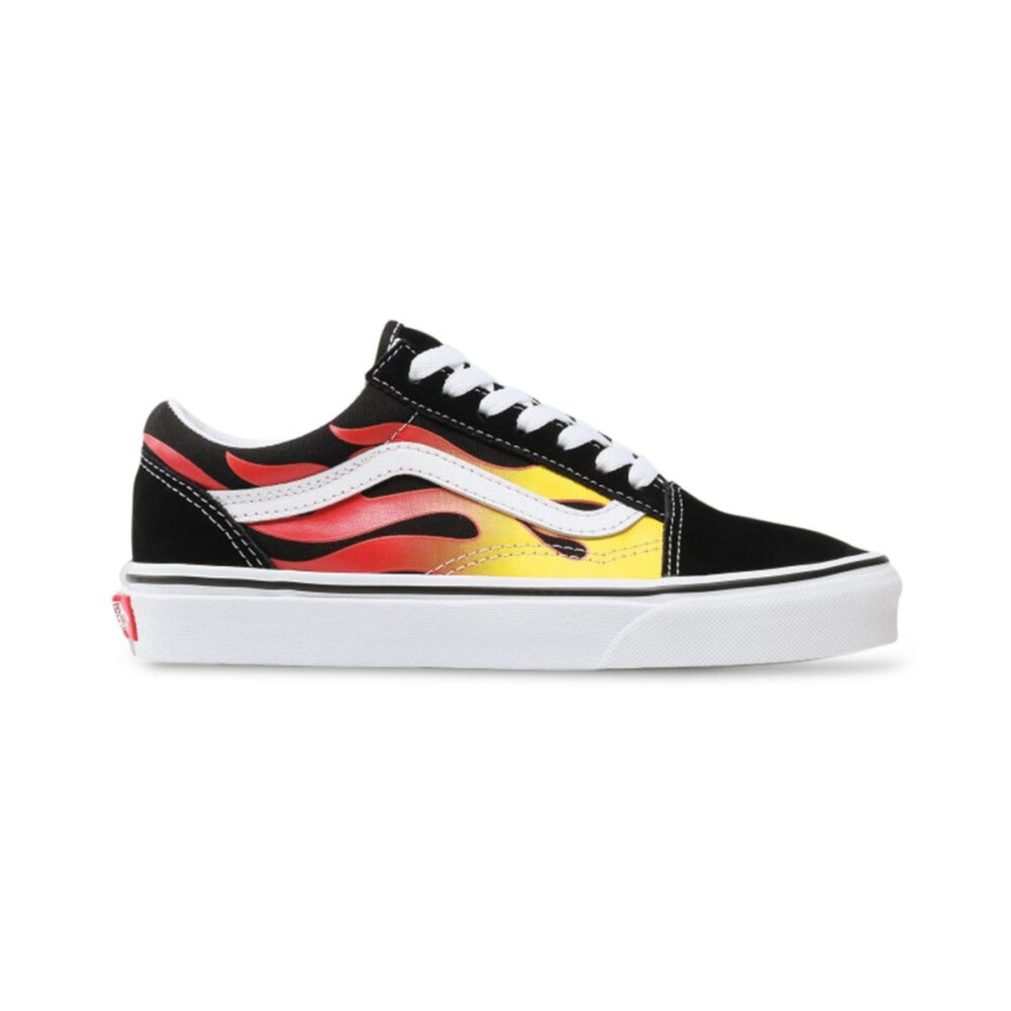 VANS picture