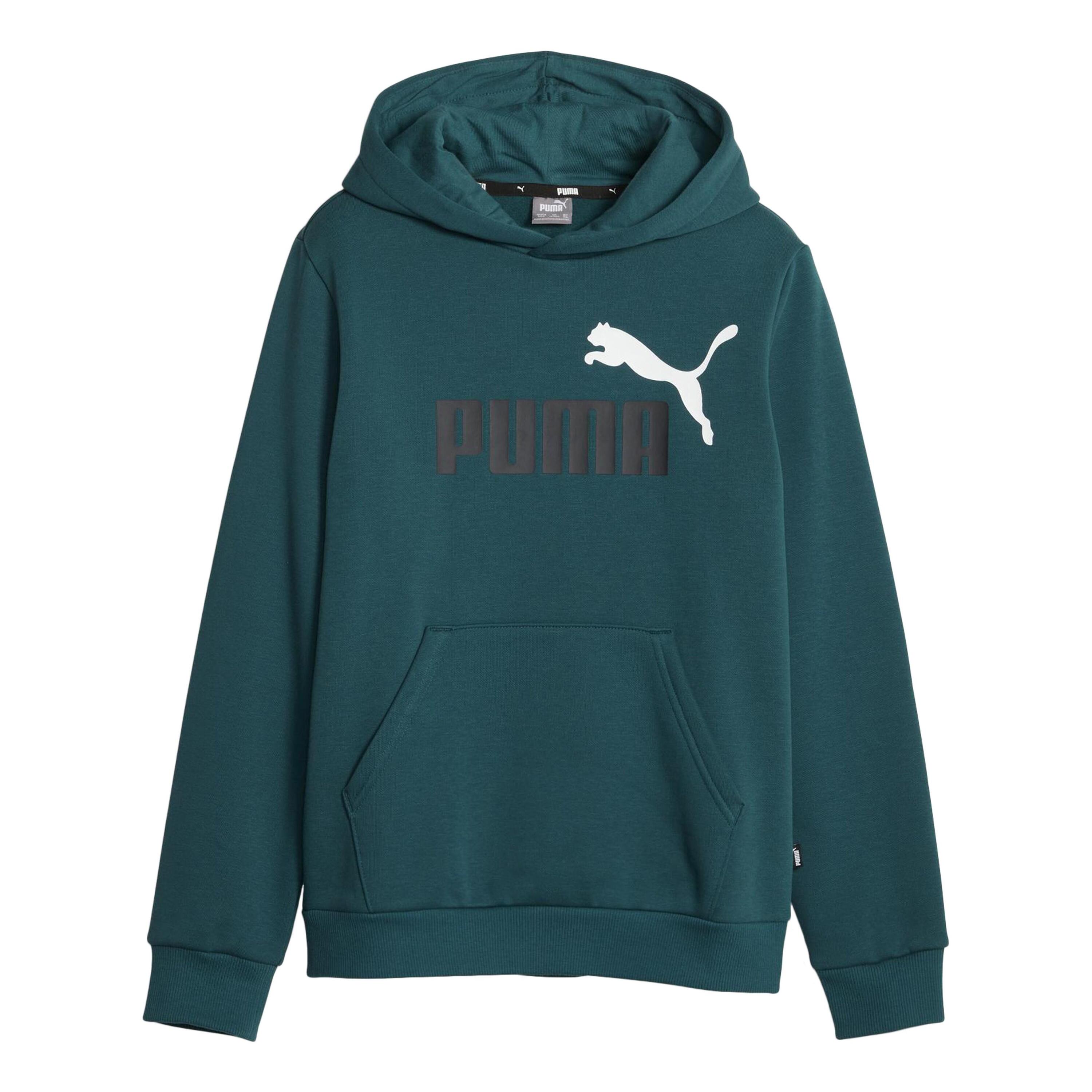 PUMA picture