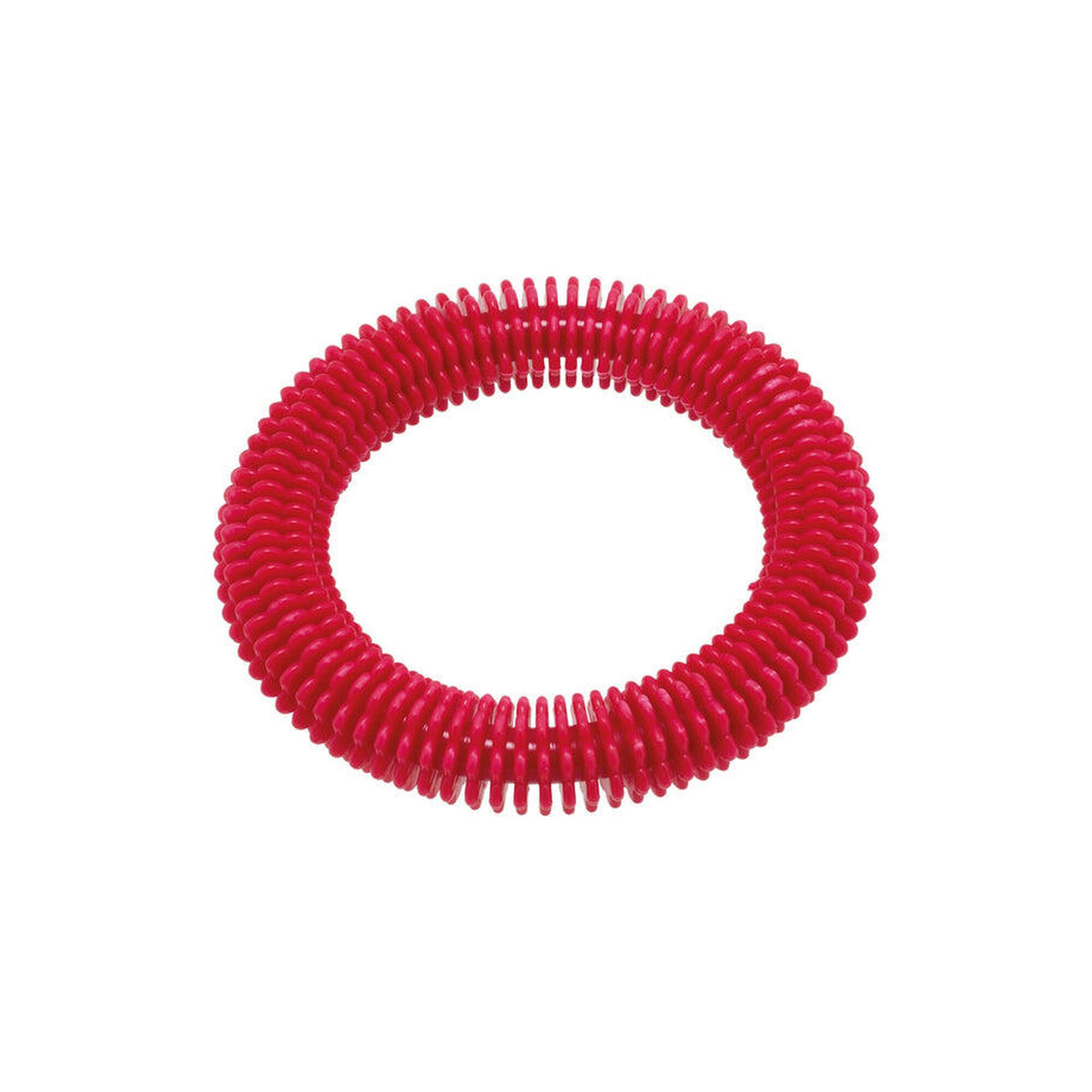 Fashy Lamellar Diving Ring FASHY Decathlon