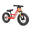 BERG Biky Cross Rosso 12" bicicletta senza pedali per bambini