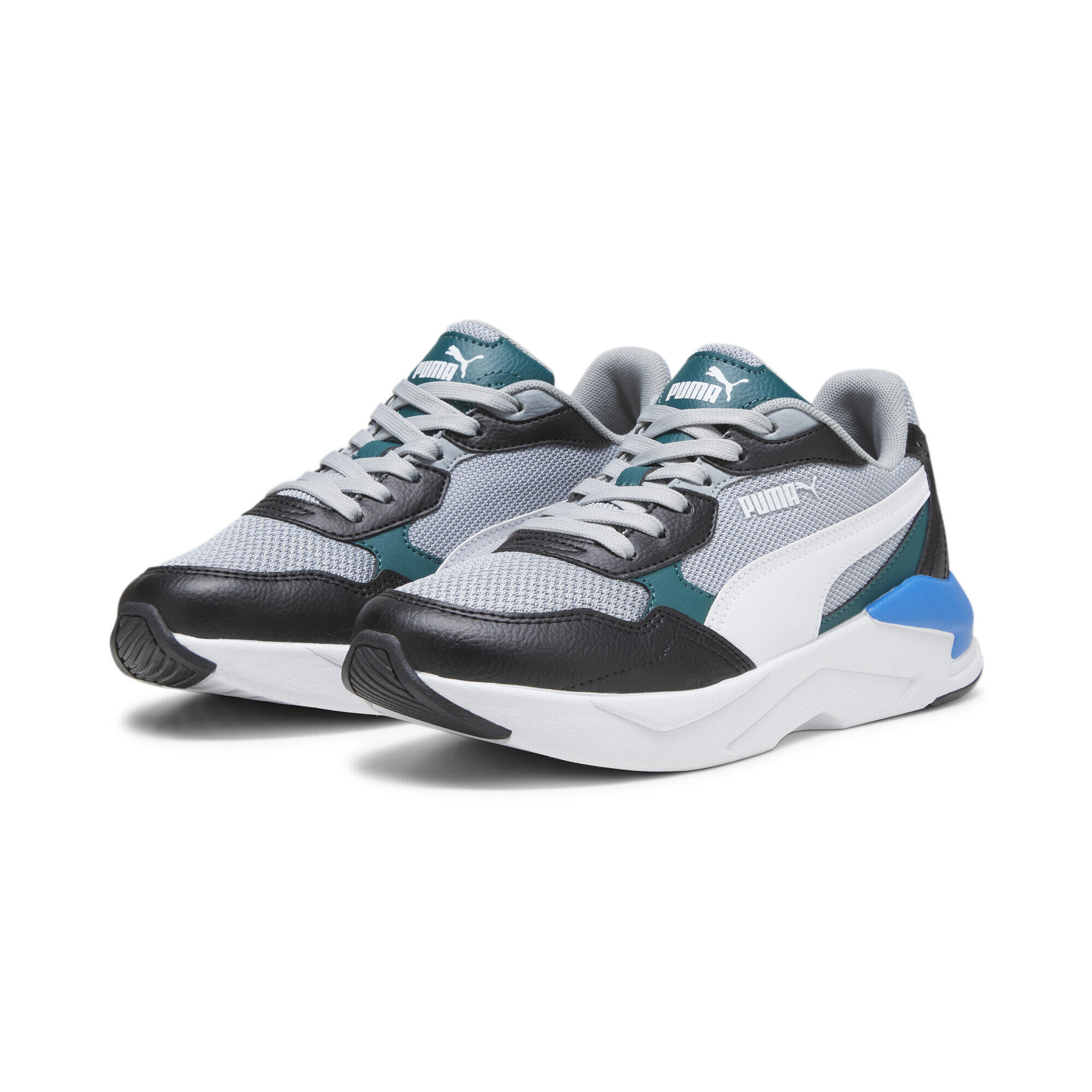 PUMA picture