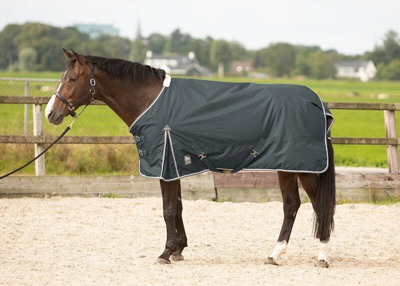 HARRYS HORSE Coperta da esterno per cavalli Harry's Horse Thor 100 gr