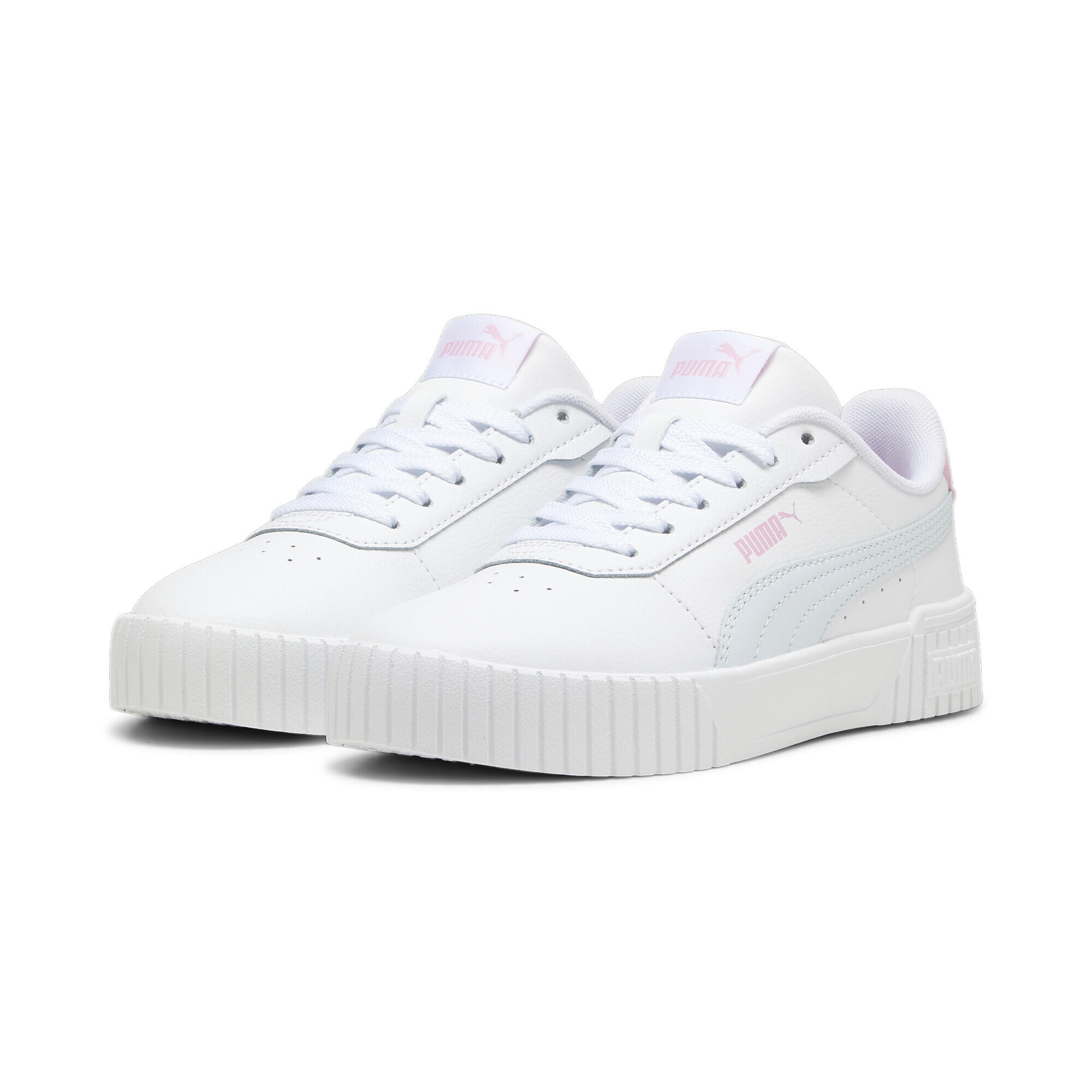 PUMA picture